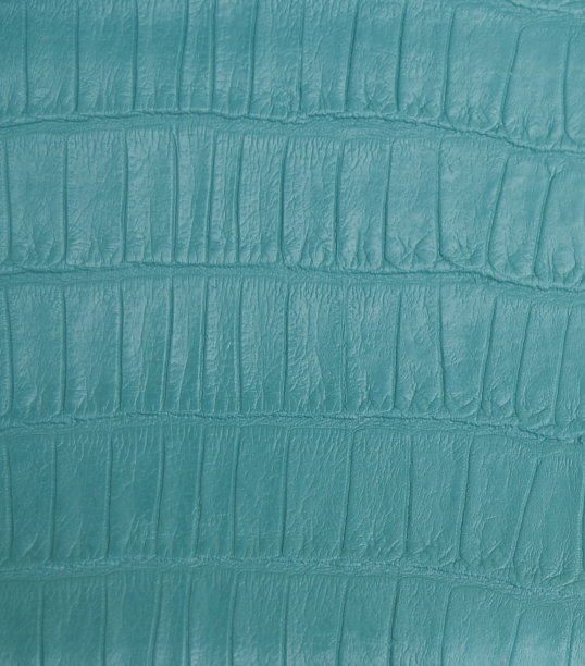 鳄鱼纹理的皮肤在水鸭颜色图片下载