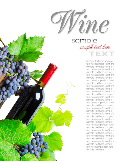 一瓶红酒和葡萄图片下载