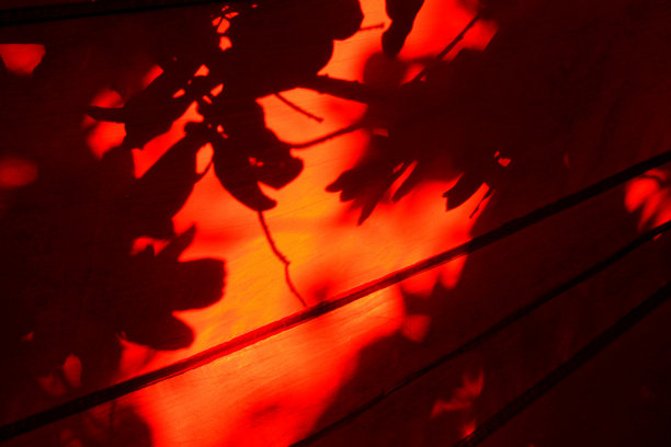 红色背景中的阴影图片下载