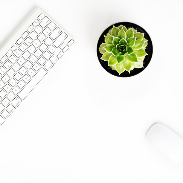 无线铝键盘，鼠标和多肉花在花盆。图片下载