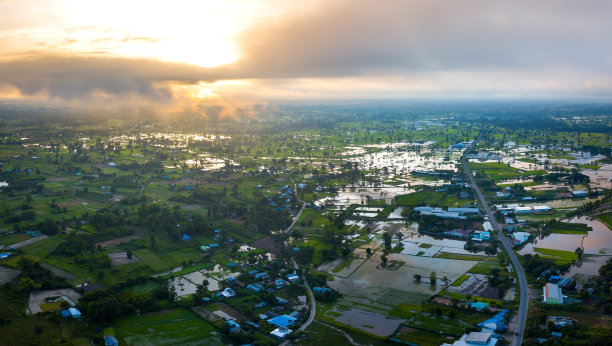 俯视图无人机在泰国稻田上空拍摄的照片。顶视图美丽的日落。东北大米。图片下载