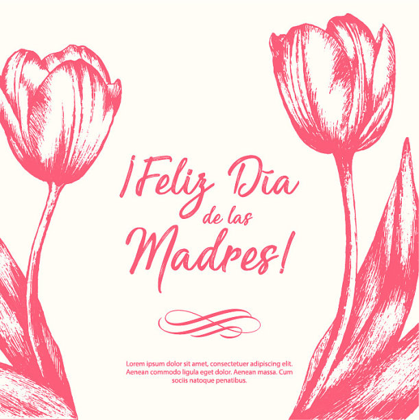 费利斯Día de las Madres(西班牙语母亲节快乐)郁金香花贺卡-复制空间图片下载