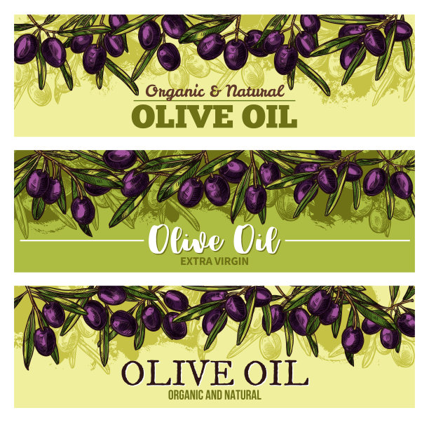 带黑果、叶边的橄榄油横幅图片下载