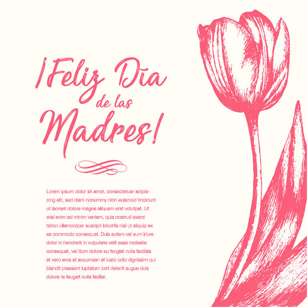 费利斯Día de las Madres(西班牙语母亲节快乐)鲜花贺卡-拷贝空间图片下载