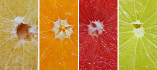 柑橘类:橙子、葡萄柚、青柠、橘子。新鲜的有机多汁水果。维生素c的来源。素食产品。有机原料生产。图片下载