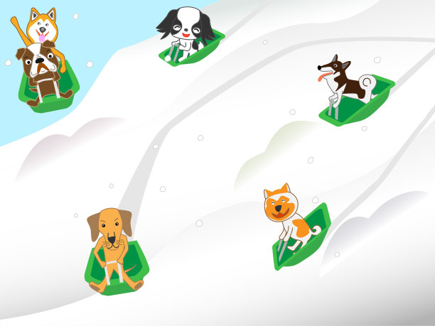 狗的运动图片下载