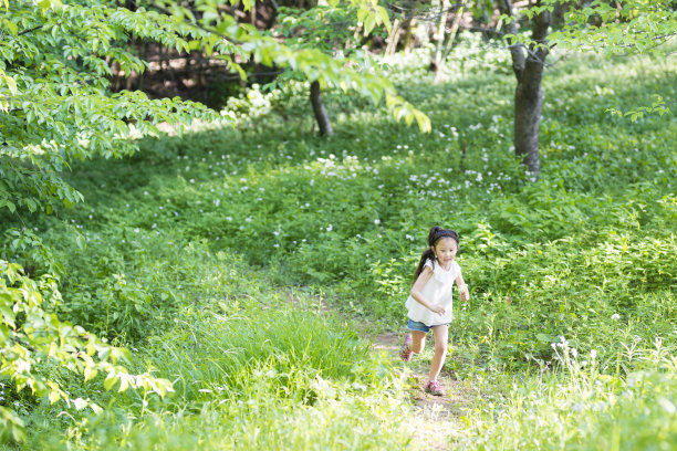 小女孩走在森林的小路上图片下载