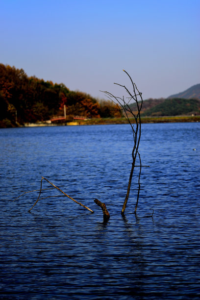湖图片下载