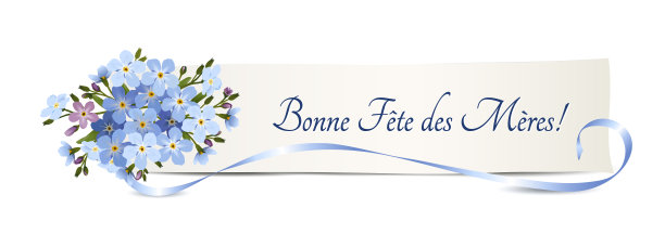 母亲节的勿忘我花图片下载