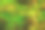 在花园的岩石上封闭的绿色苔藓作为绿色植物的抽象背景。图片下载