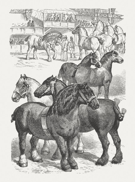 夏尔马，伦敦伊斯灵顿皇家农业大厅，木版，1888年出版图片下载