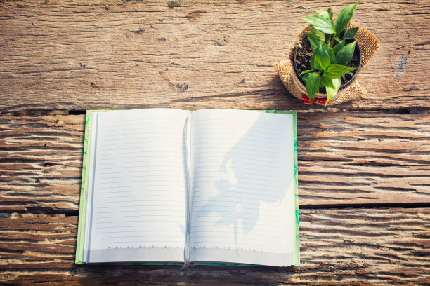 桌上放着漂亮花的笔记本图片下载