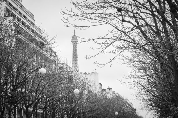 蒙田大道图片下载