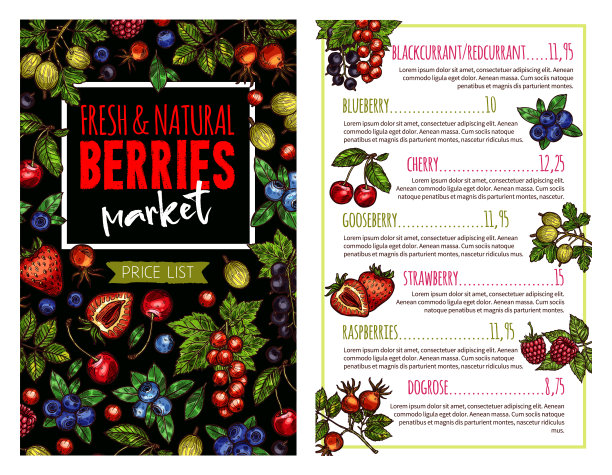 浆果和水果横幅的价格清单模板图片下载