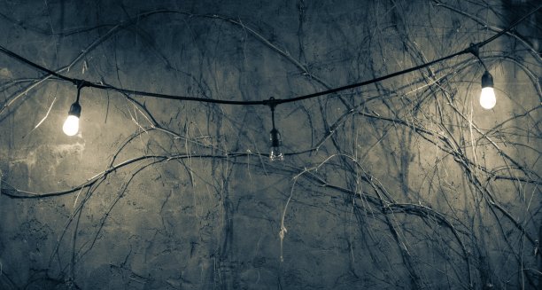 藤蔓间的乡村照明图片下载