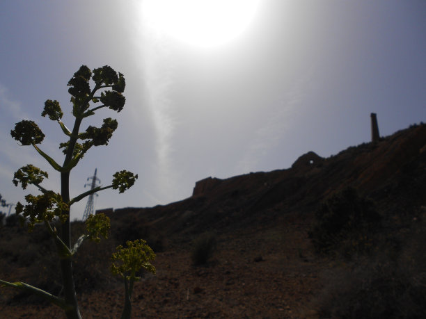 SILUETAS标记图片下载