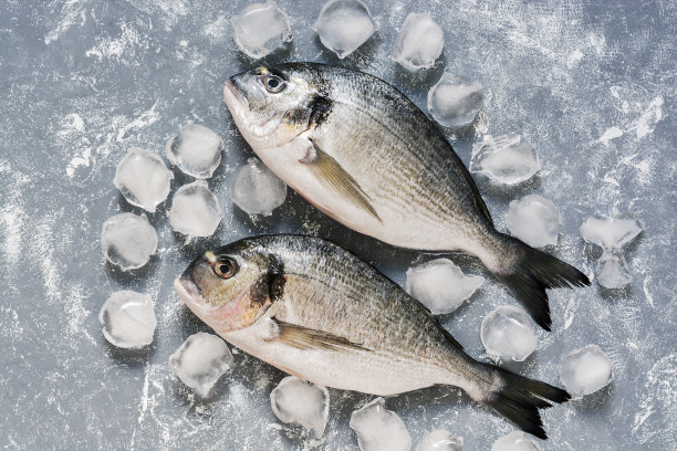 生鲷鱼冰块灰背景图片下载
