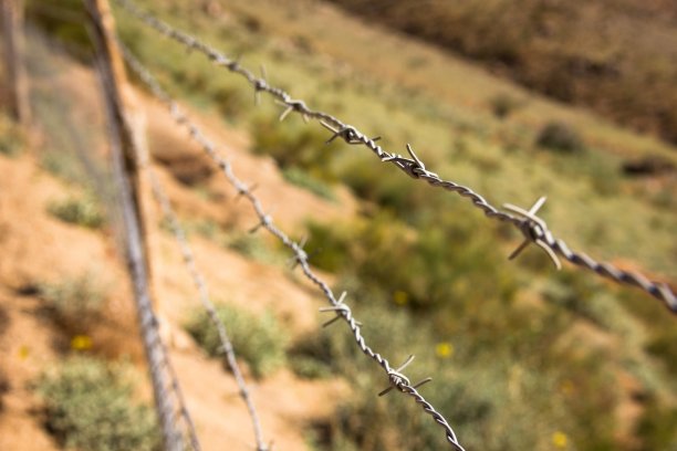 铁丝网图片下载