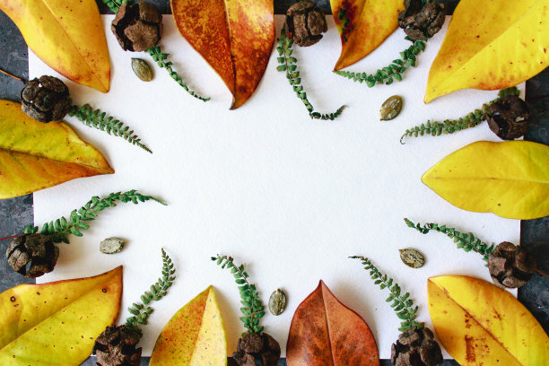 空空的白纸，被曼陀罗形状的秋叶框住，平躺在黑暗的背景上。明亮的秋季框架与复制空间图片下载