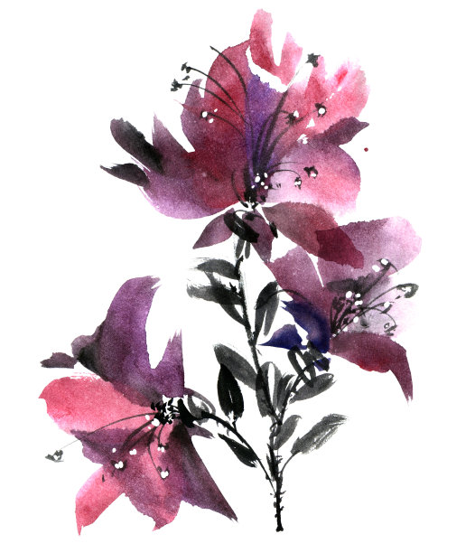 水彩花牌素材图片