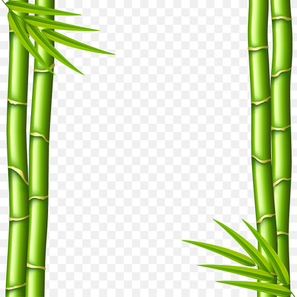 竹茎孤立在白色载体插图素材图片