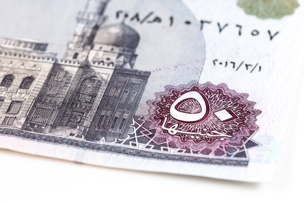 埃及镑纸币50元面额细节图片下载