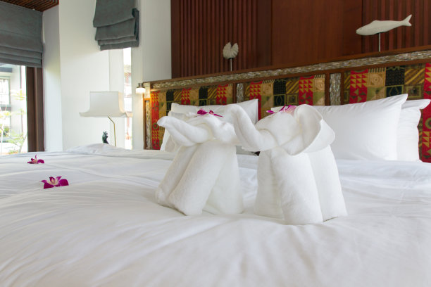 热带地区用大象毛巾铺的漂亮的新床图片下载