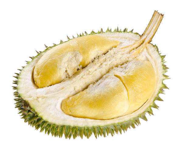 榴莲果图片下载