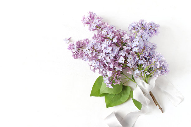 风格的库存图片。春天婚礼，生日现场，花艺作文。花束由美丽的盛开的紫丁香枝制成，丝带孤立在白色的桌子背景上。平躺，俯视图图片下载