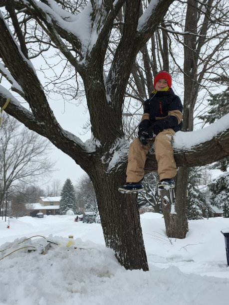 冬天里，一个十几岁的男孩坐在他最喜欢的树的树枝上图片下载