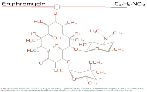 红霉素分子图片下载