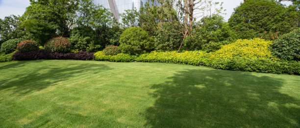 绿色城市公园图片下载