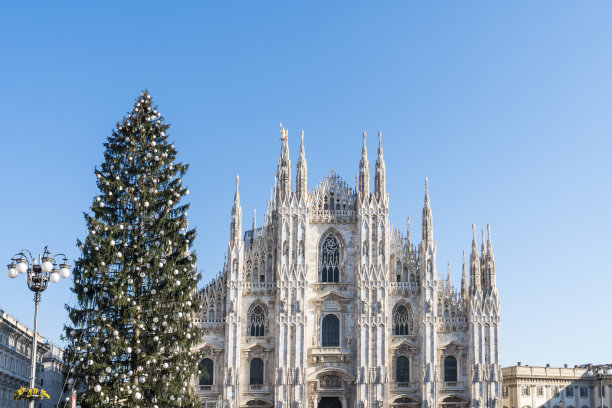 圣诞树图片下载