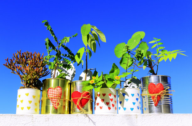 六个回收罐。图片下载