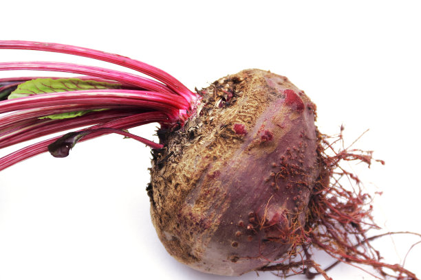 甜菜。图片下载