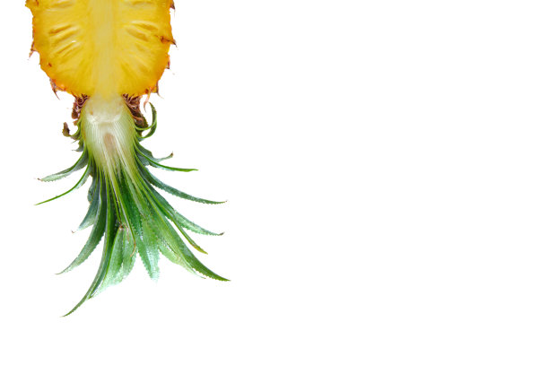 新鲜的菠萝切片图片下载