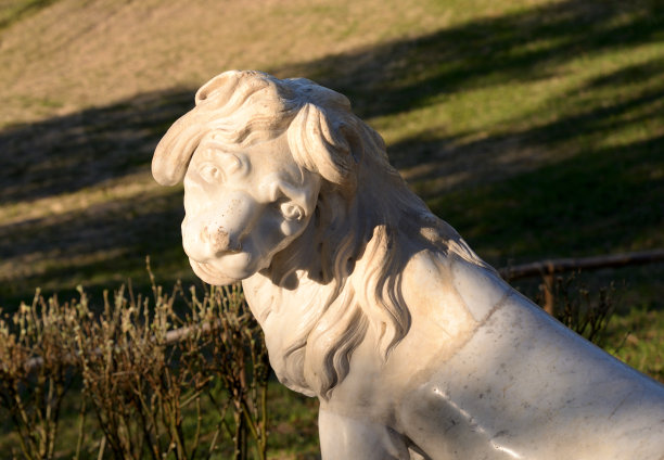 狮子雕像特写镜头。图片下载