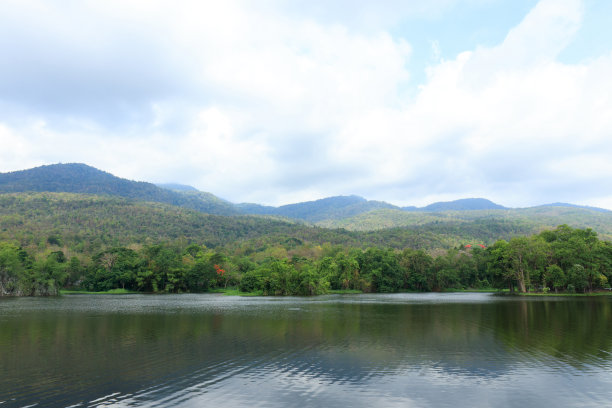清迈蓝天下的森林湖图片下载