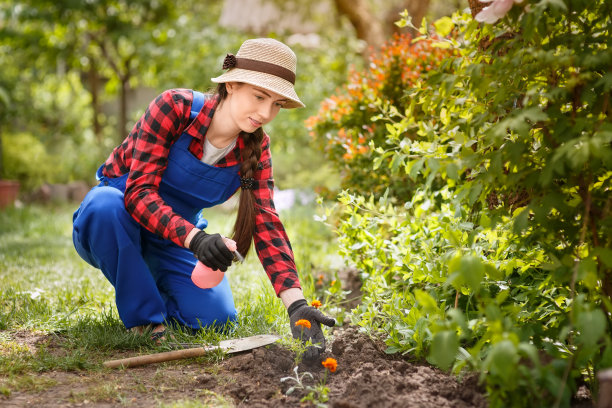 喷洒农药或水的园丁图片下载