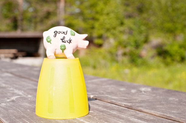 绿色杯子上的好运猪图片下载