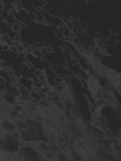 白色大理石纹理矢量背景。图片下载