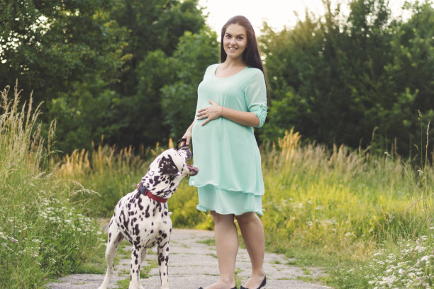 怀孕的女人和狗图片下载