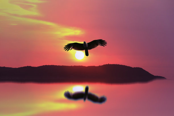 夕阳依山映水，鸟飞归家图片下载