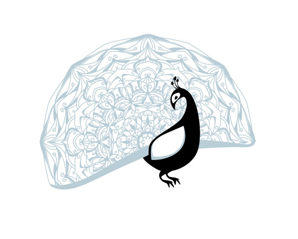 孔雀鸟。平面向量插图图片下载