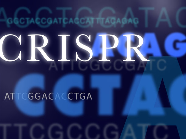 基因组核苷酸图片下载