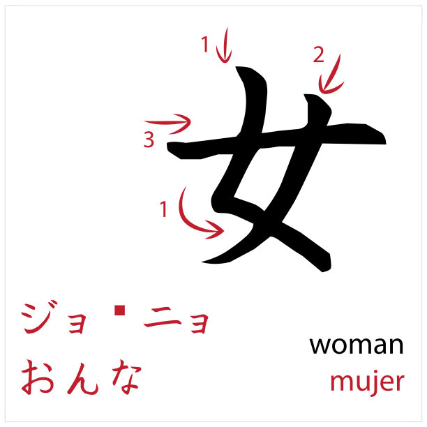 女人。为学生设计日语闪存卡向量图片下载