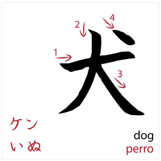 狗。为学生设计日语闪存卡向量图片下载