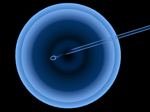 人工受精或试管受精图片下载