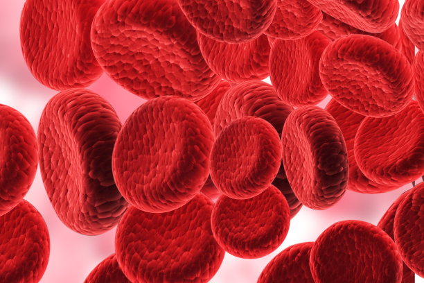 红细胞素材图片