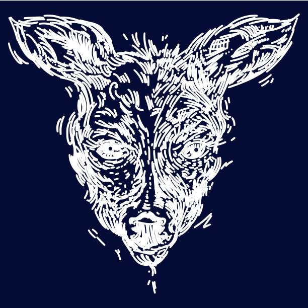 手绘现实素描的鹿，孤立在白色的背景图片下载